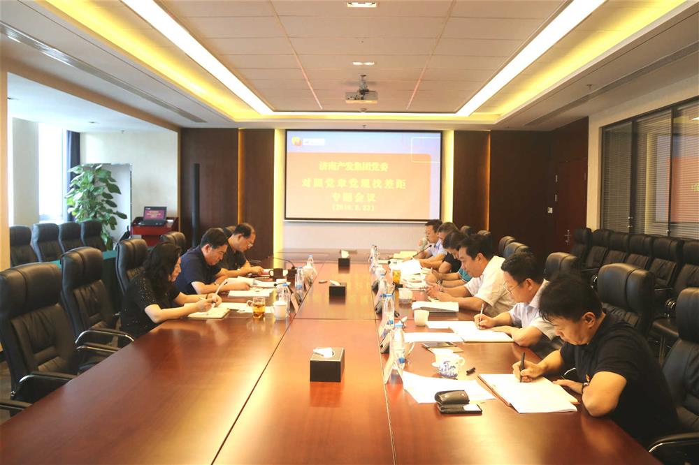 点点体育在线登录入口集团党委召开对照党章党规找差距专题会议