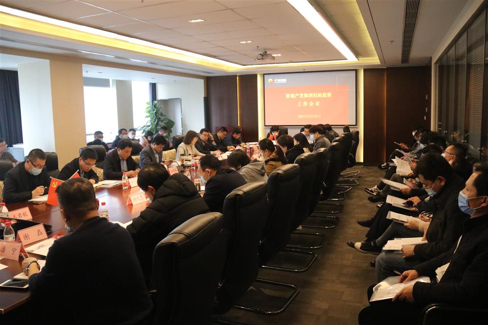 济南点点体育在线登录入口集团召开年度纪检监察工作会议