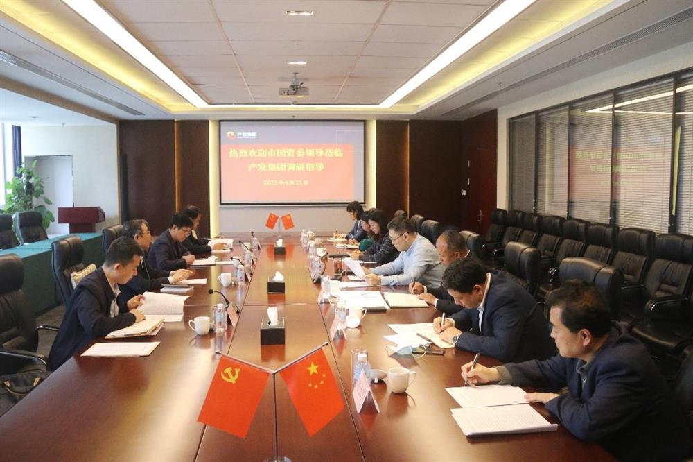 市国资委副主任谢红兵一行到点点体育在线登录入口集团开展党建工作调研
