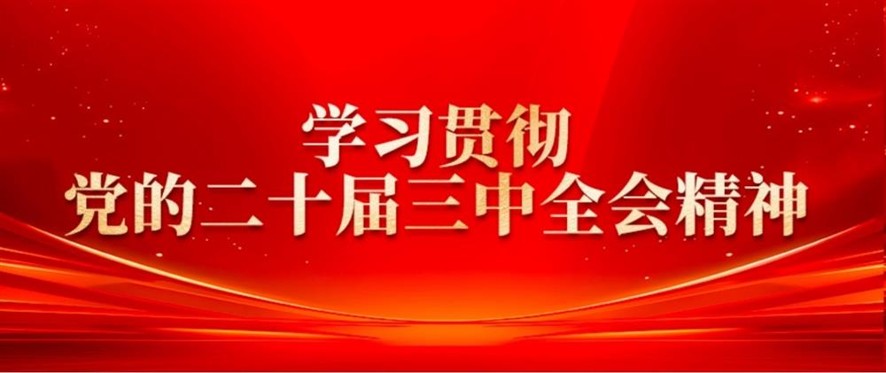学习贯彻党的二十届三中全会精神② 点点体育在线登录入口园区集团董事长刘孝萌：抓好“建、招、储、运”,建设高质量产业园区
