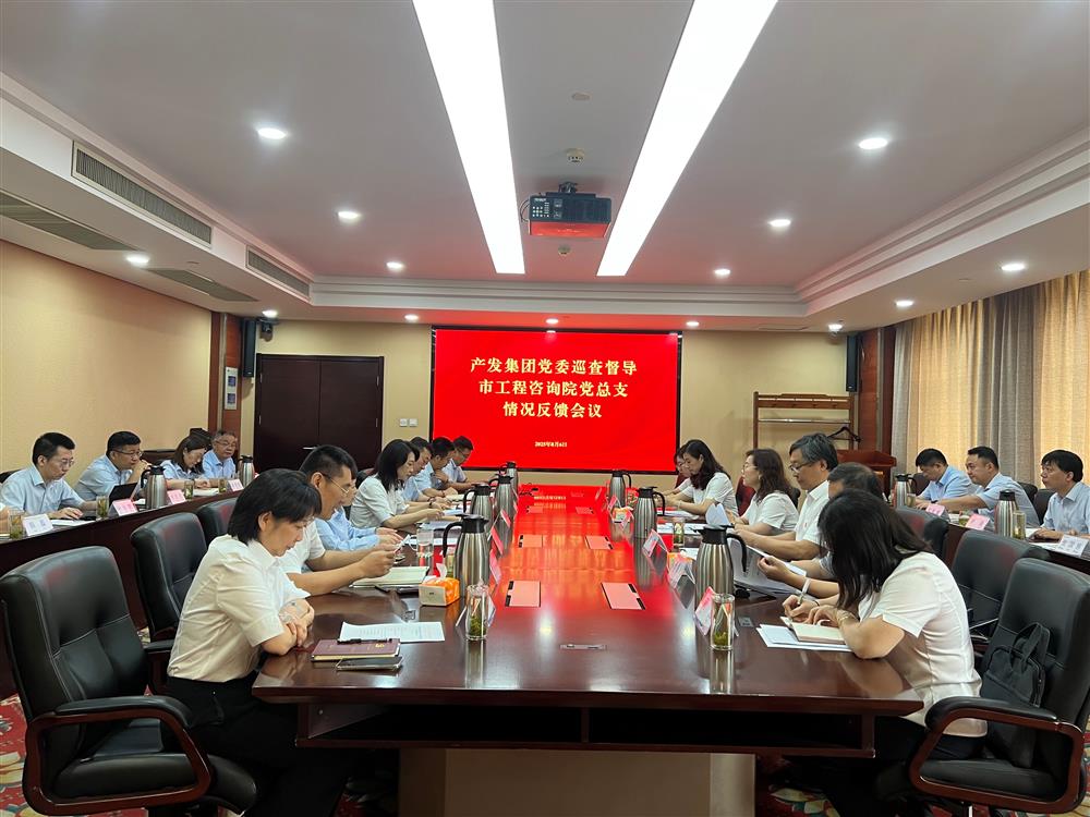点点体育在线登录入口集团党委巡查督导组向市工程咨询院党委反馈巡查督导情况