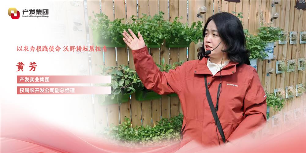 巾帼绽芳华 | 点点体育在线登录入口实业集团权属农开发公司 黄芳：以农为根践使命，沃野耕耘展担当